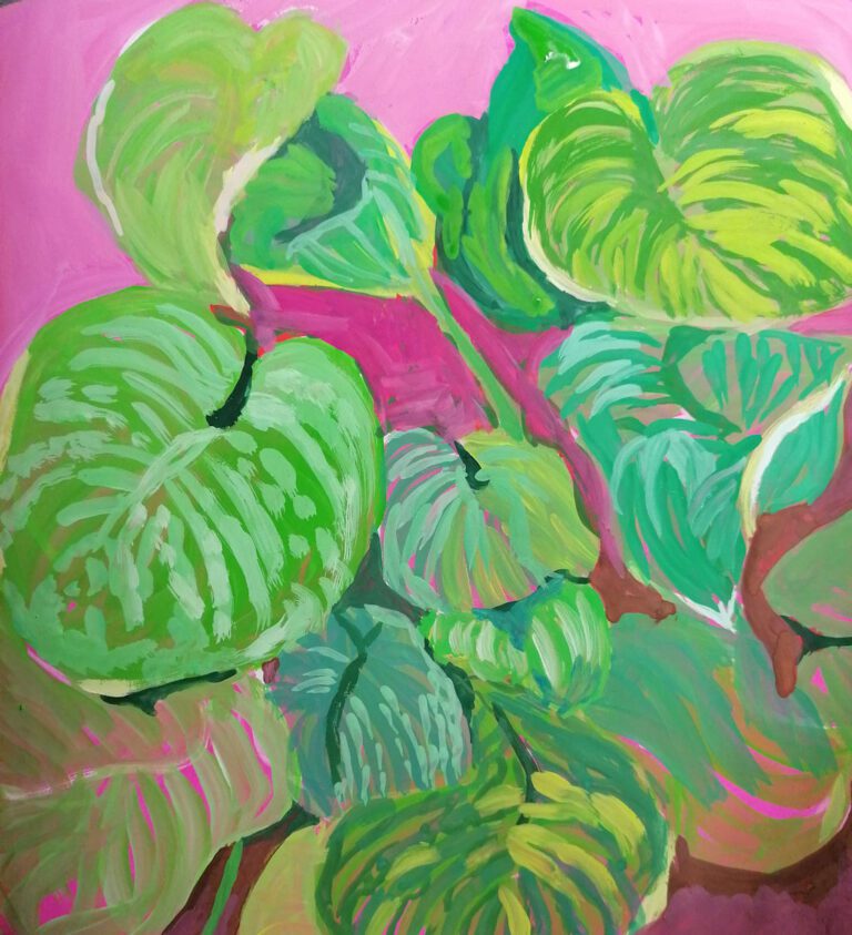 Green hosta leaves on a pink background
