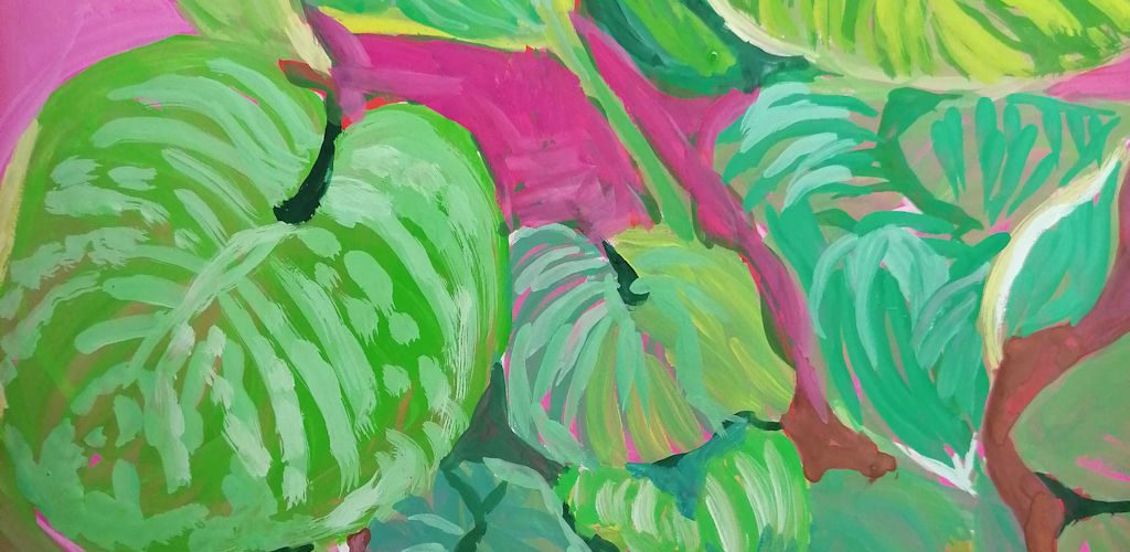 Green hosta leaves on a pink background